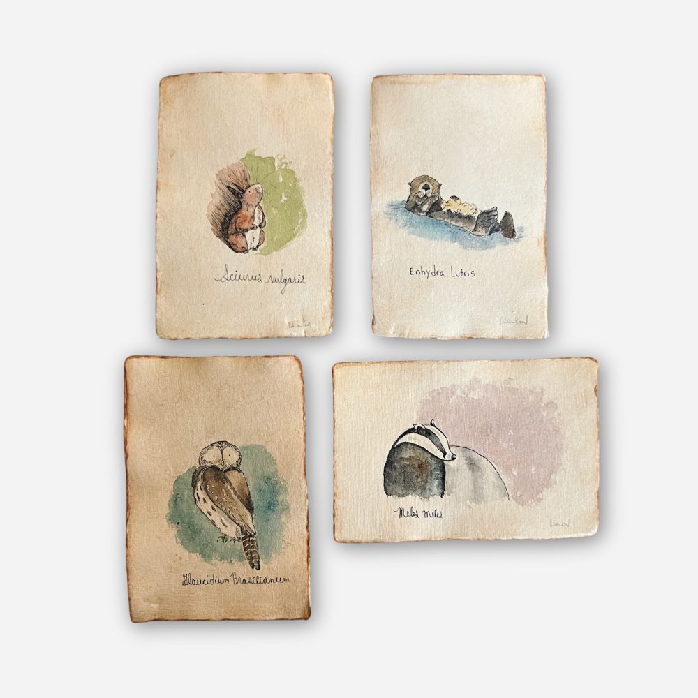 4 Piece Latin Animal Collection