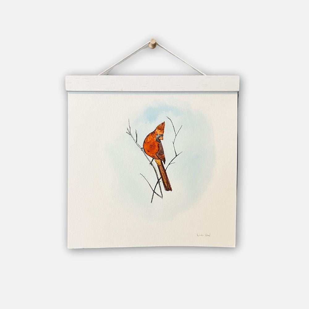 Peering Cardinal - 8" x 8"